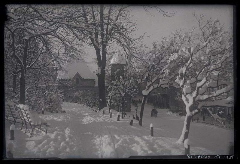 Tallinn. Vaade Musumäe pargile talvel. Taga Viru Värava tornid