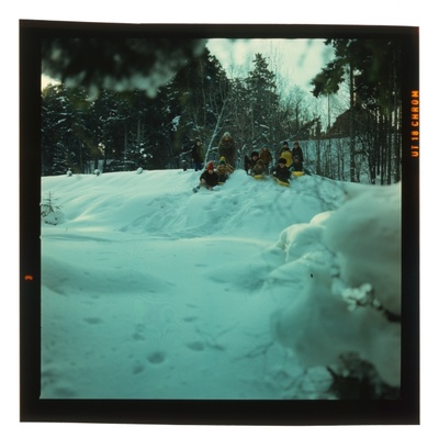 Photo  similar photo