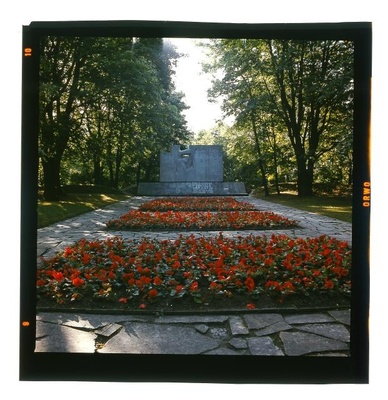 Photo  duplicate photo