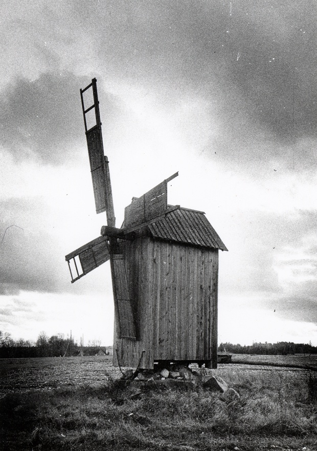 Tubala tuulik, vaade