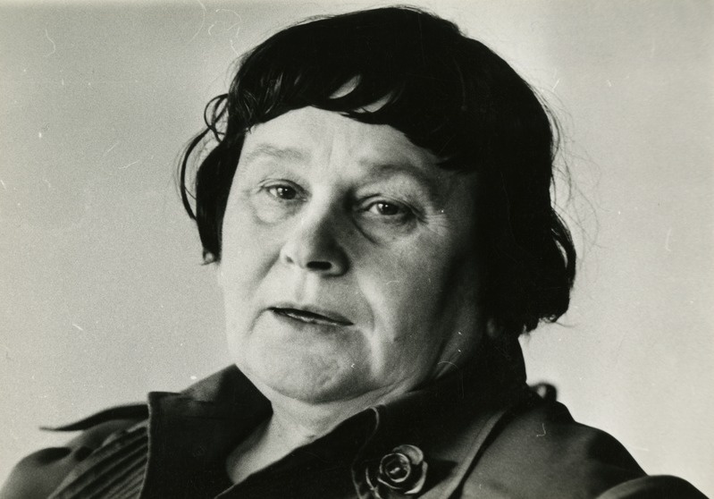 Valve Pormeister vestlemas, portreefoto