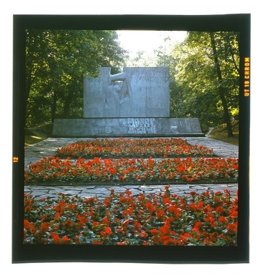 Photo  similar photo