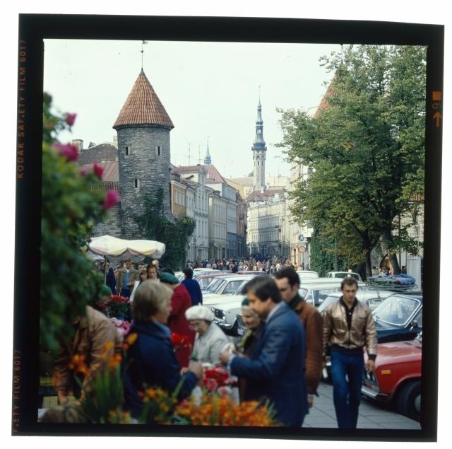 Viru Street.