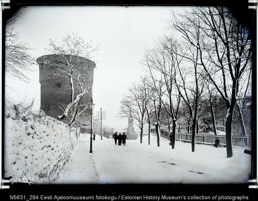 Kiek in de Kök ja Harjumägi. Vaade Jaani kiriku suunas.
