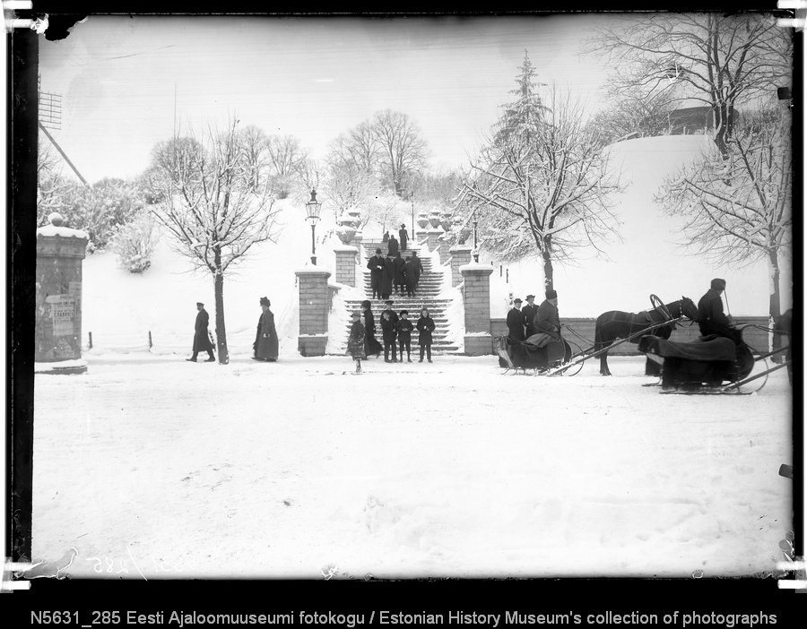 Harjuvärava mäe trepid