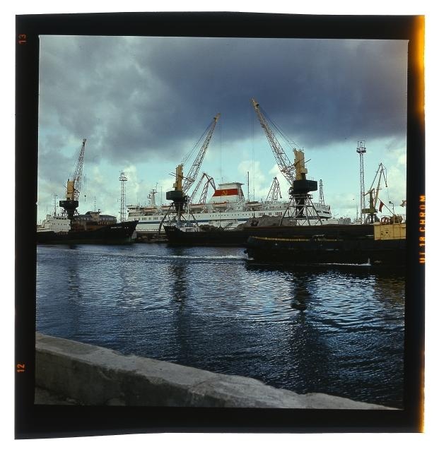 Merchant port. Many ships in the port.