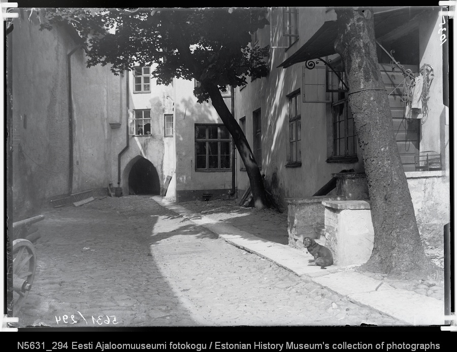 Riia Kommertspanga siseõu Suur-Karja tänava ja Väike-Karja tänava vahel (?).