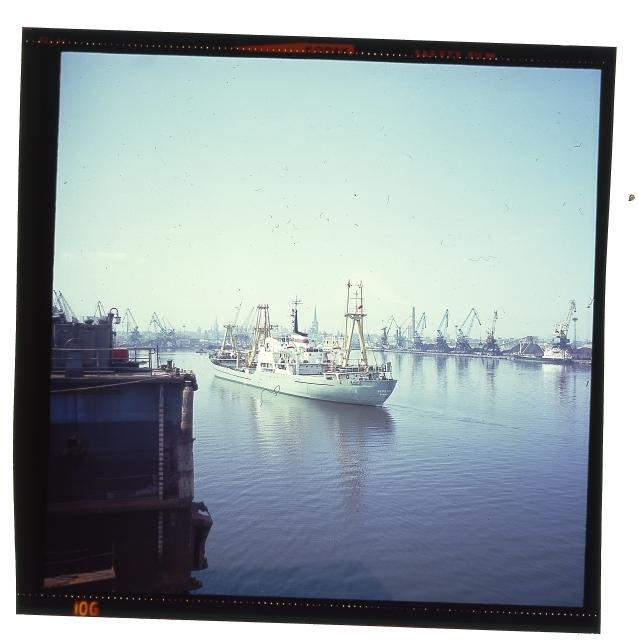 Merchant port. Many ships in the port.