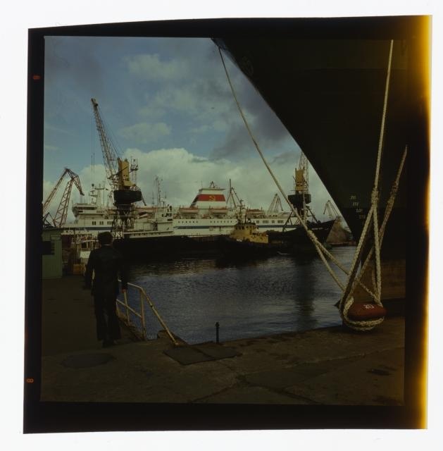 Merchant port. Many ships in the port.