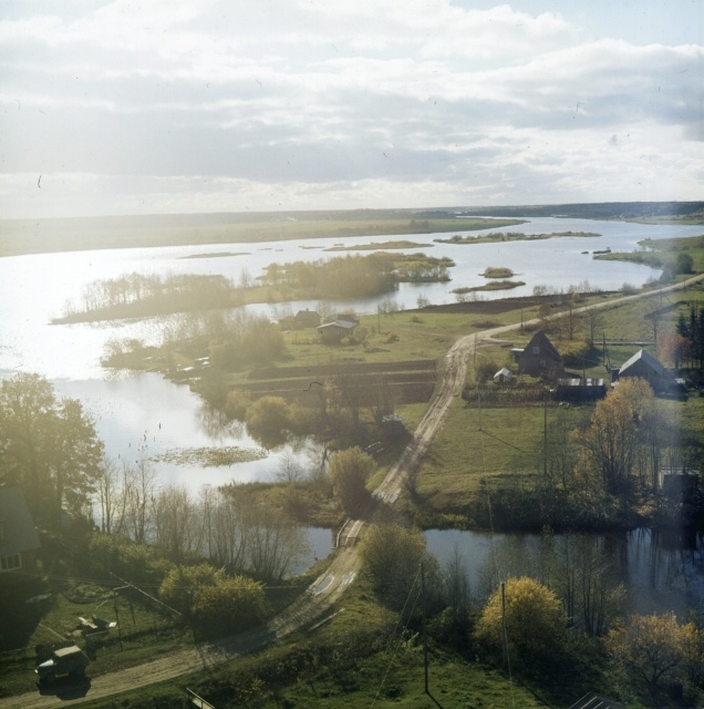 Alataguse forest in autumn.