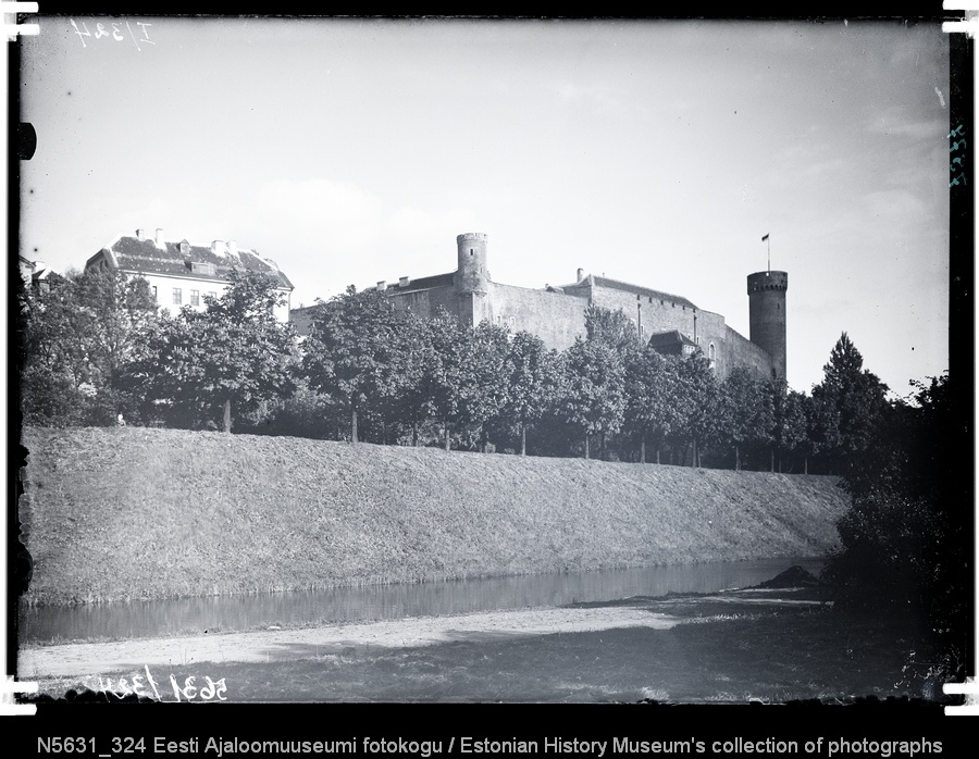 Vaade Toompea lossile Šnelli tiigi Paldiski mnt poolsest servast.
