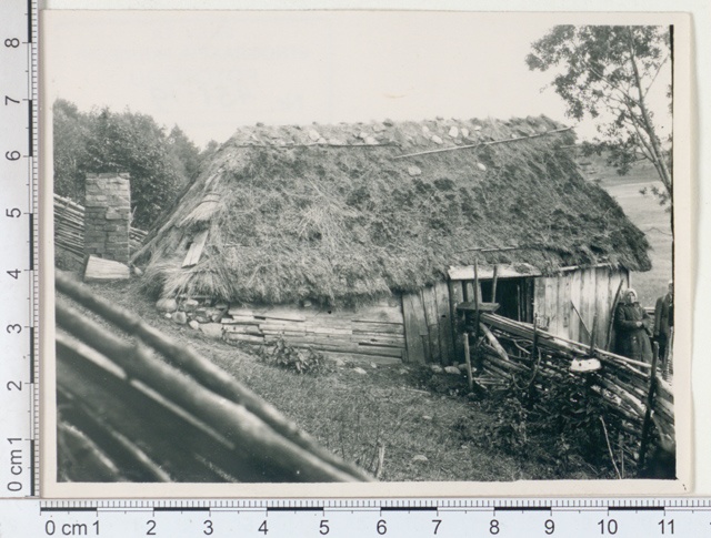 Maasaun (home). Karksi v, Veske farm, Ants Teder