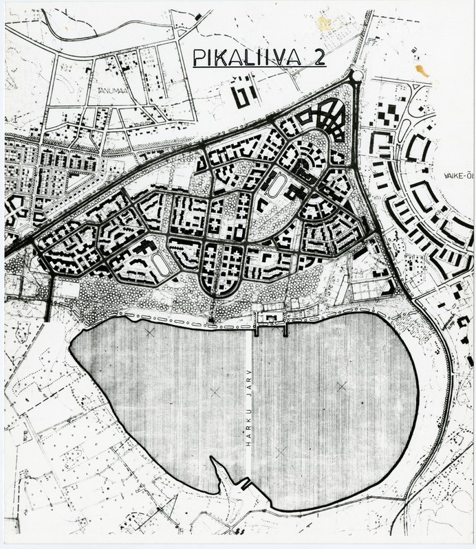 Pikaliiva elamurajoon, eskiisprojekt