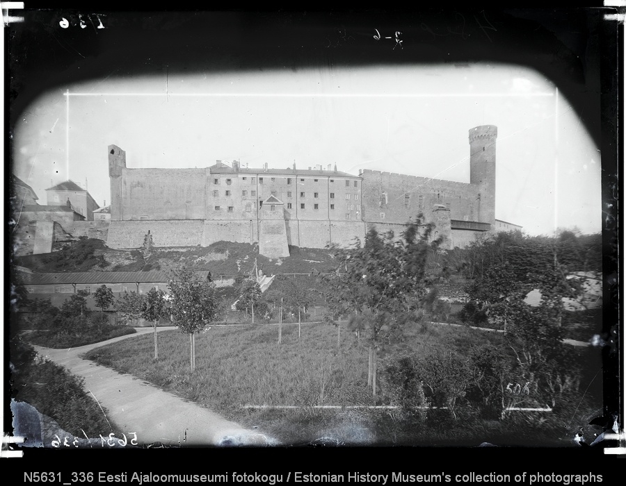 Toompea loss.
