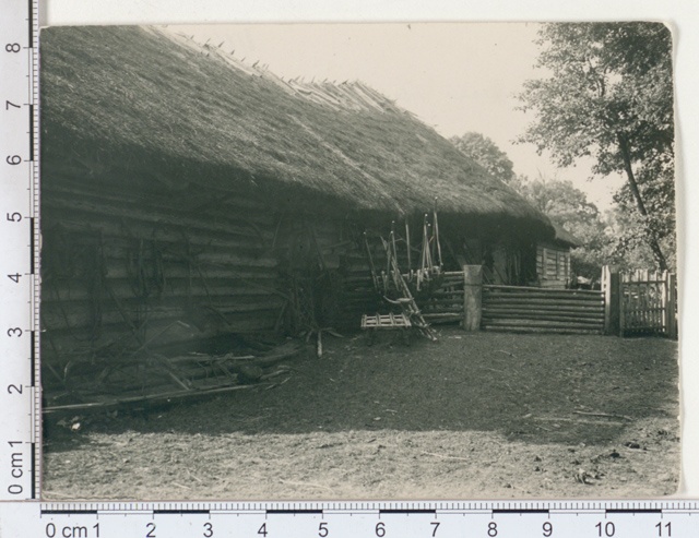Bisa - east side of the family, viewed from the south side