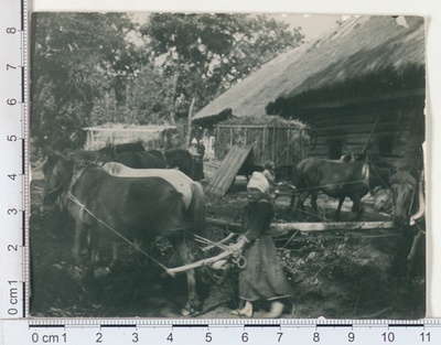 Rehepeks Kokas - family, children as horsemen at the transportation stuff  duplicate photo