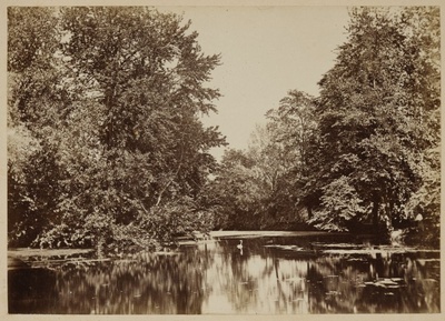 Botanic Garden Ticket of the University of Tartu  duplicate photo