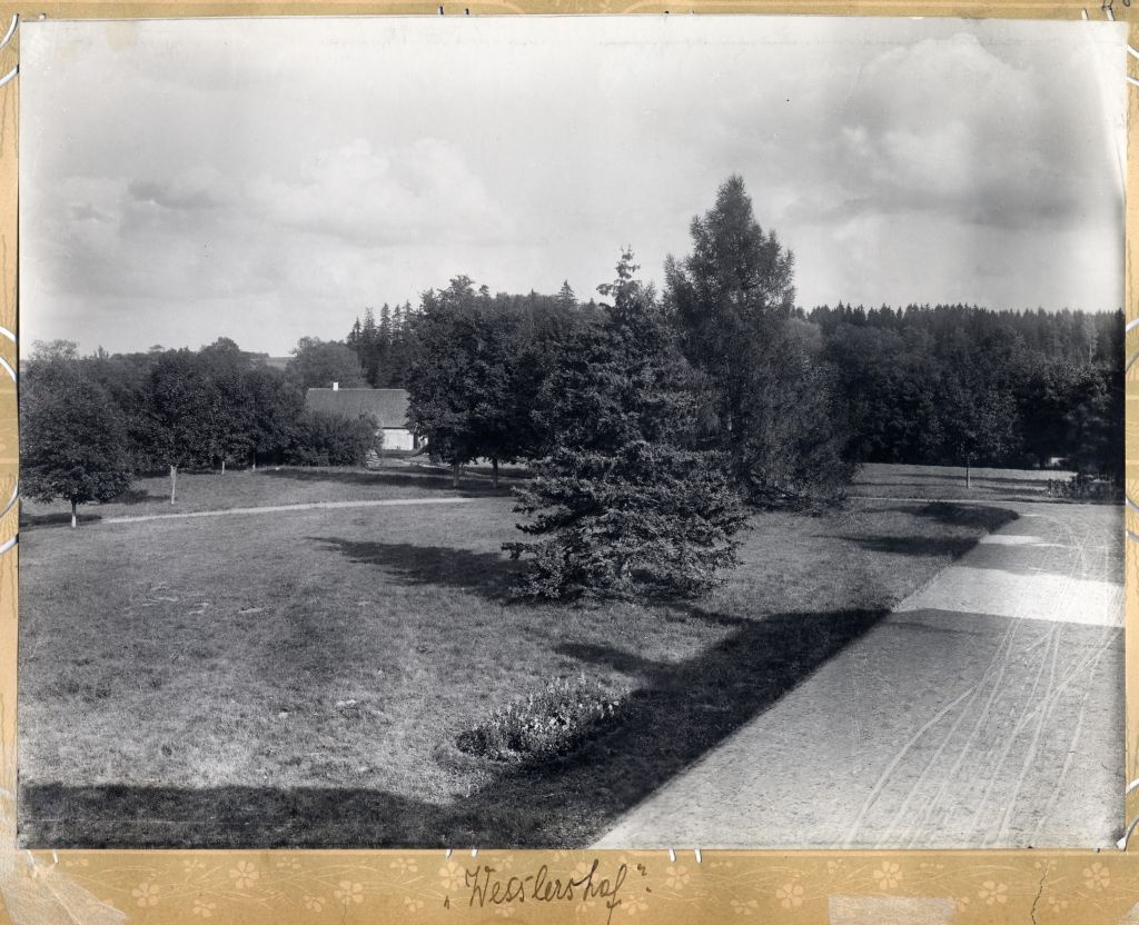 View from the window of the building of Vesner Manor