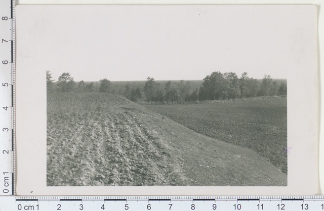 Soontaga on the hill of the landscape. Mihkli
