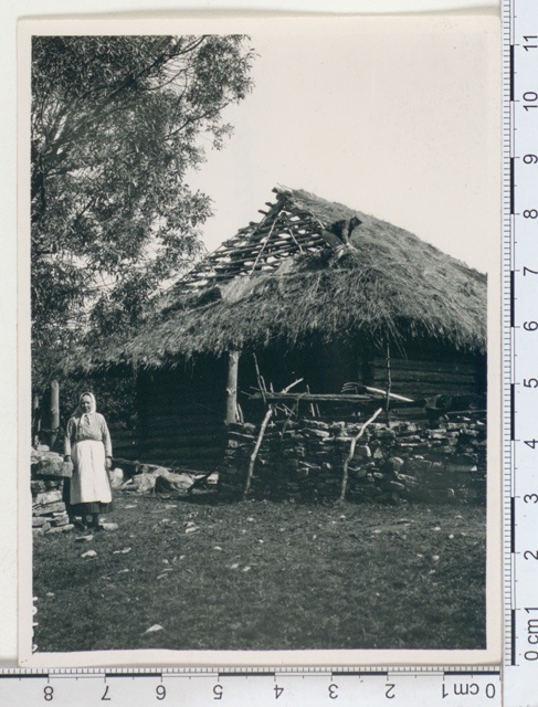 Coverage of aid roof. City of painting, Mihkli