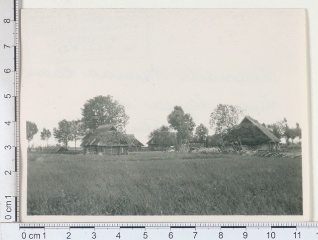 General view of the Allema farm. Old - Vigala v