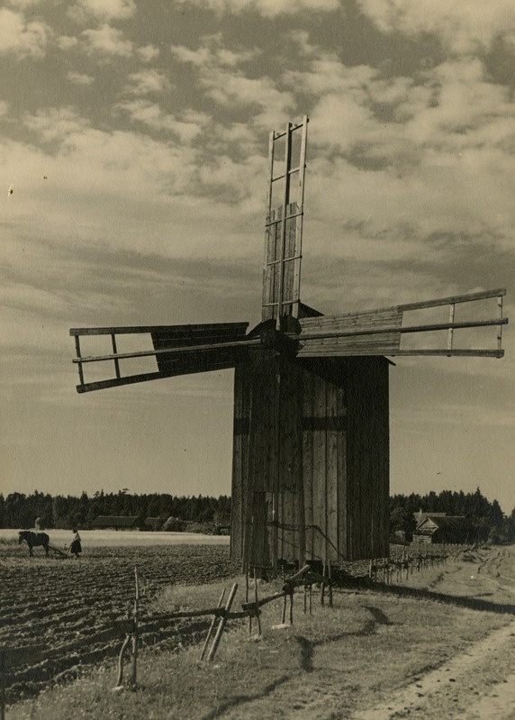 Tuvastamata tuulik