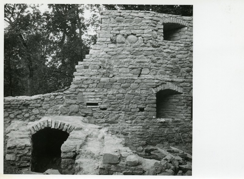 Padise kloostri varemed: detail (kahuritorn?)