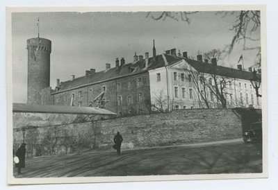 Tallinn, Toompea Castle and Pikk Hermann, view from Kaarli Street.  duplicate photo