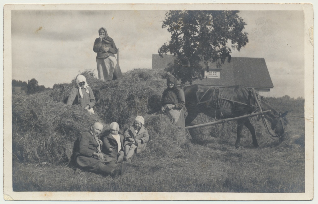 fotopostkaart, heinategu Polli valla Saviaru vanadekodu lähistel 1935