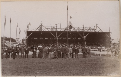 6. The public event in Tallinn, the view of the singing hall.  duplicate photo