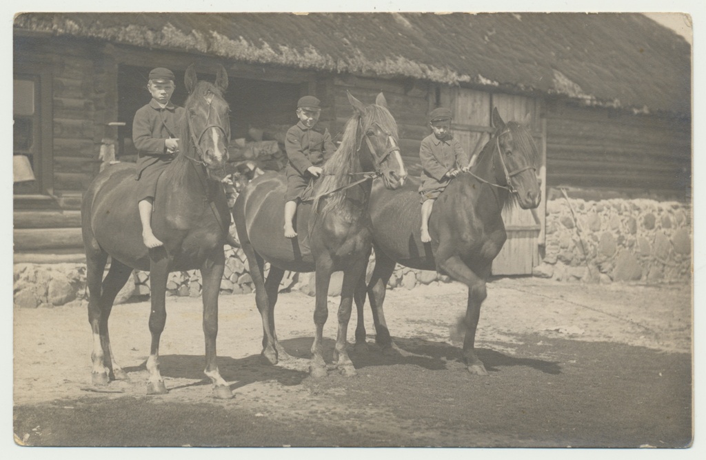 foto 3 poissi hobustel taluõuel Paistu khk Muri talu? sh E. ja J.Sova u 1920