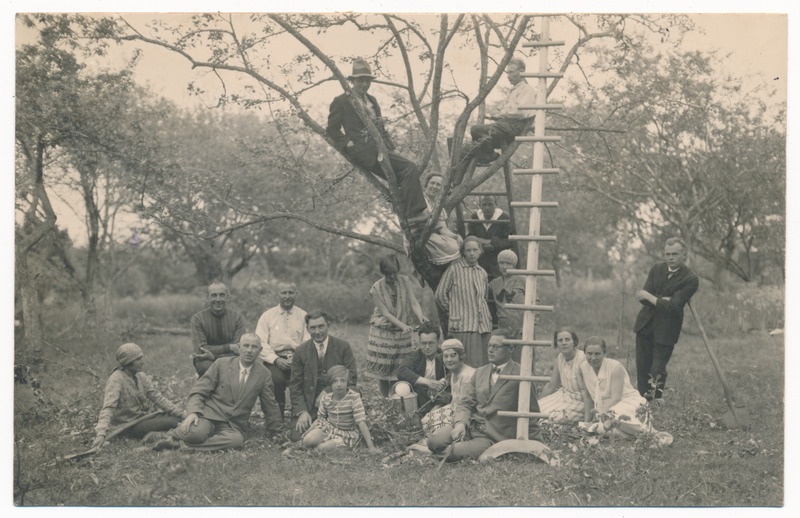 foto, Suure-Jaani khk, Kildu, grupp aias, redel, osa puu otsas, 28.06.1929 sh A. Jürisson (Jürissoo)