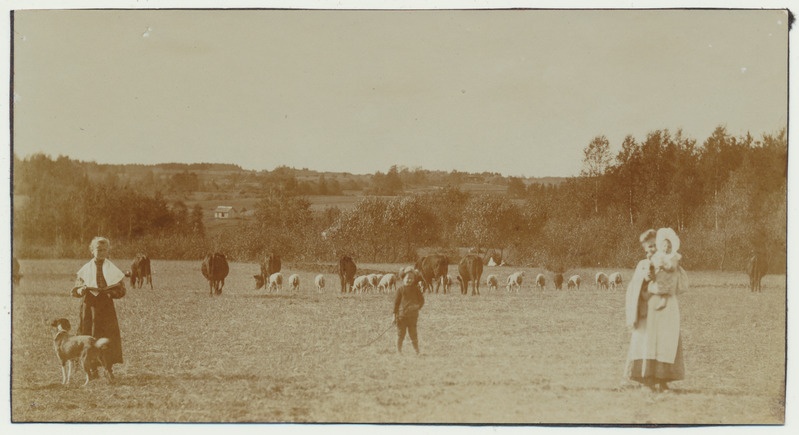 foto Viljandimaa Holstre v loomakari, karjapoiss jt, koer u 1915 foto H.Silk