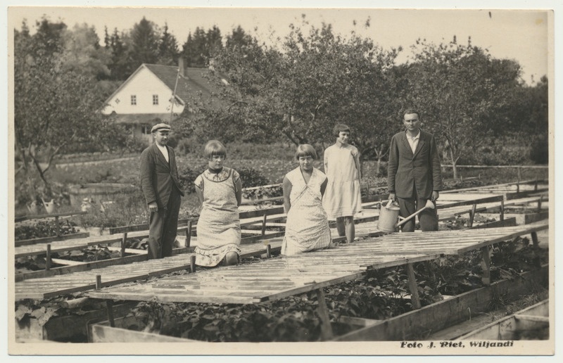 foto, Paistu khk Õisu rohtaed, kasvulavad, kastekann 30.07.1928 foto J.Riet Viljandi