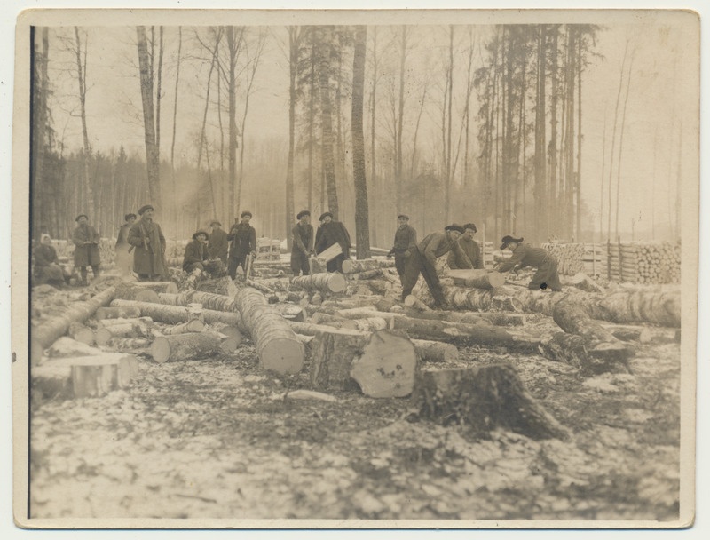 foto Rimmu mets, metsatööd, puude saagimine, lõhkumine u 1930 talv