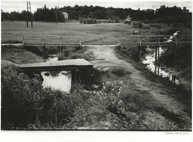 foto Viljandi Valuoja org 1957 foto E.Veliste