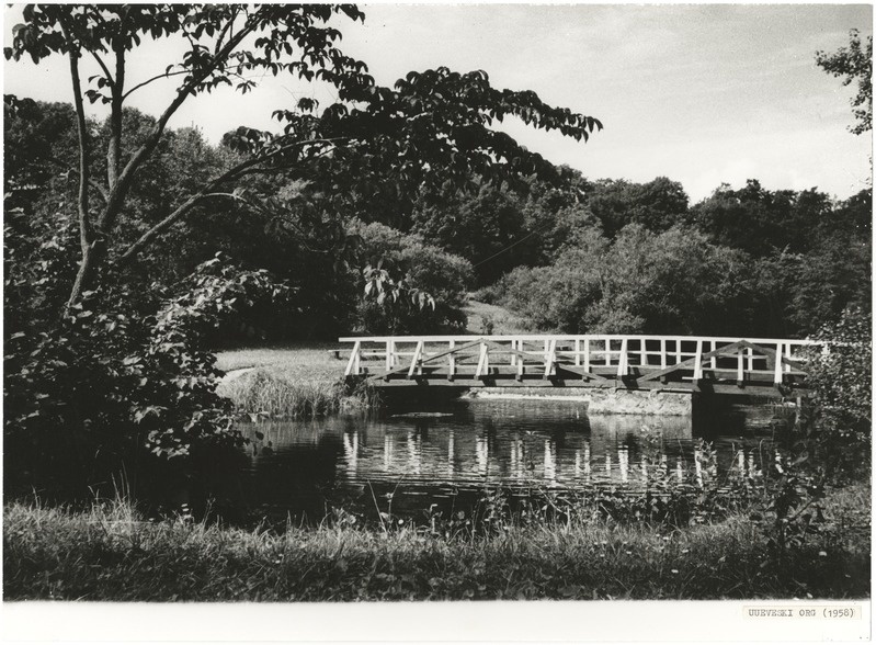 foto Viljandi, Uueveski org männiku kohal 1958 foto E.Veliste