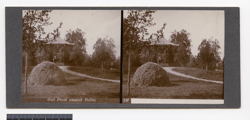 stereofoto, Viljandi khk, Pärsti, suvemaja, lehtla, heinakuhi, u 1910, foto J. Riet