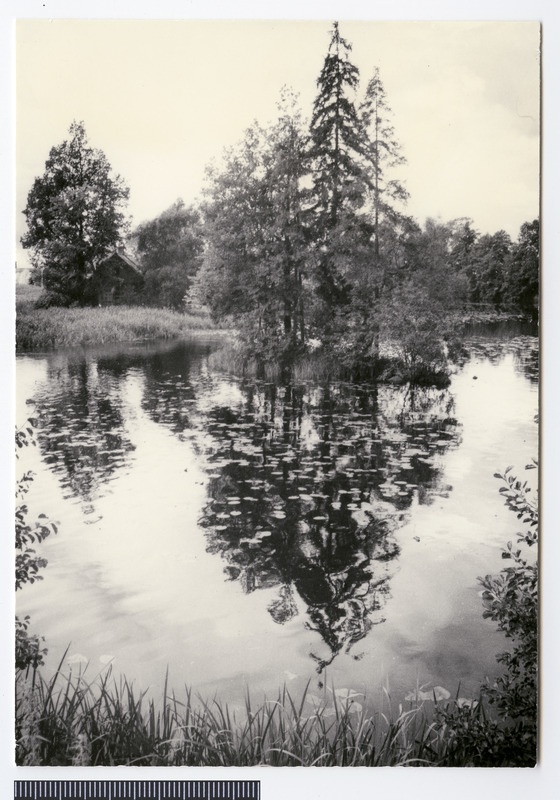 foto, Paistu khk, Õisu veskijärv, 1978, foto E. Veliste