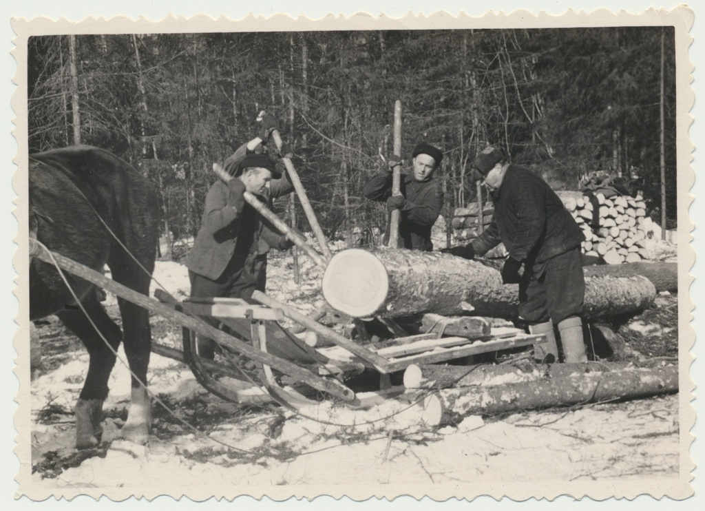 foto, Viljandimaa, palgivedu, u 1940