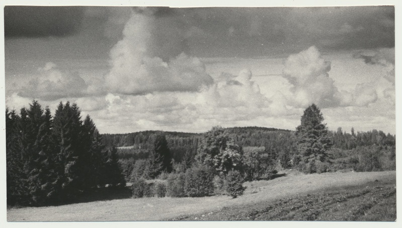 foto Viljandimaa,Pollimäed Paistus 1963