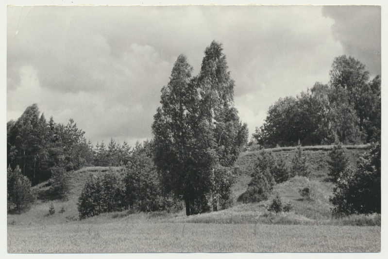foto Viljandimaa, Varesemäed 1959