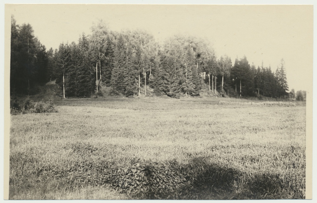 foto Naanu linnamägi