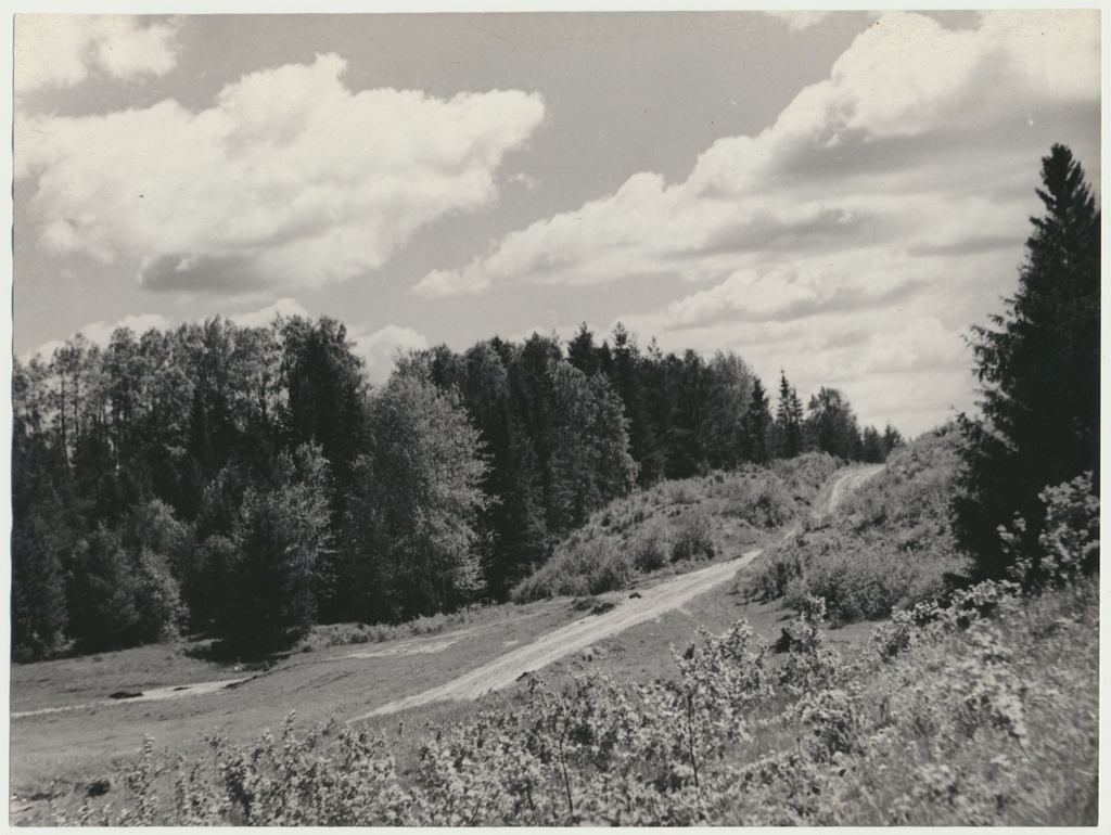 foto Saarepeedi maastik, Naanu linnamägi, 1949 F A.Kiisla