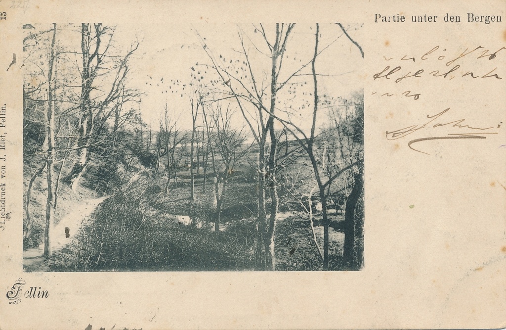 trükipostkaart Viljandi Valuoja org enne Viljandi ürgorgu u 1905 foto ja valgustrükk J.Riet