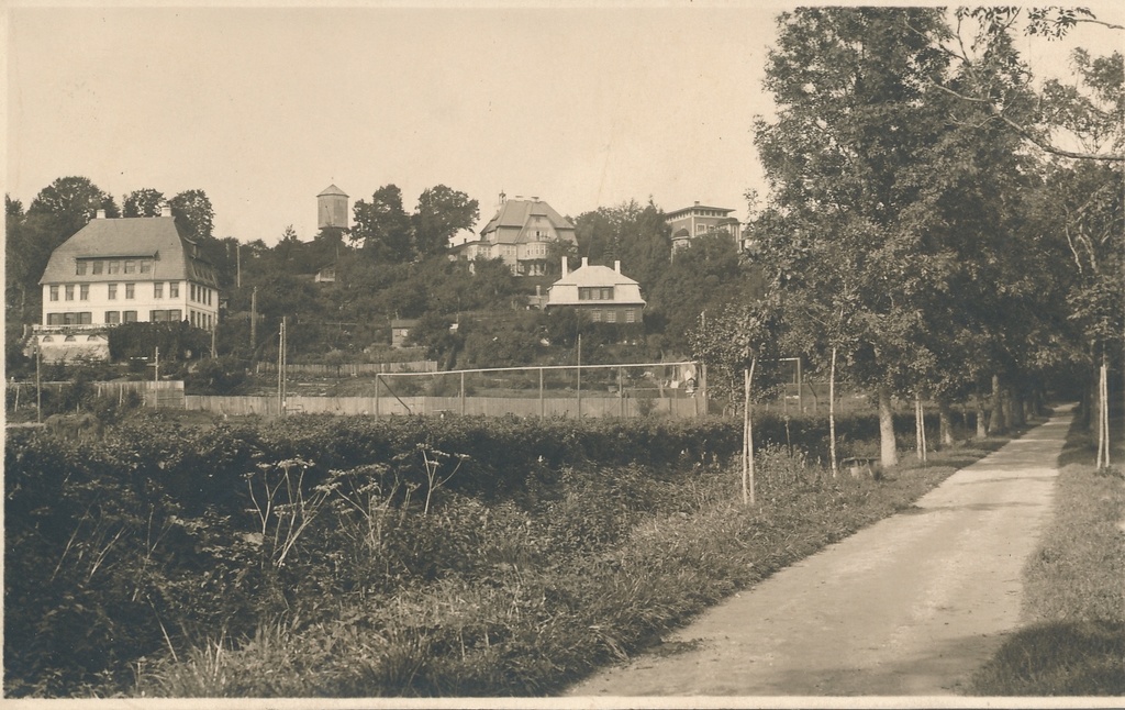 foto Viljandi, Vesiflirdi allee ja Trepimägi, villad mäeveerul u 1930