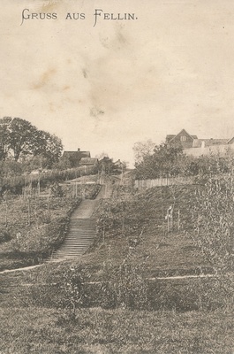 trükipostkaart Viljandi Trepimägi u 1905  duplicate photo