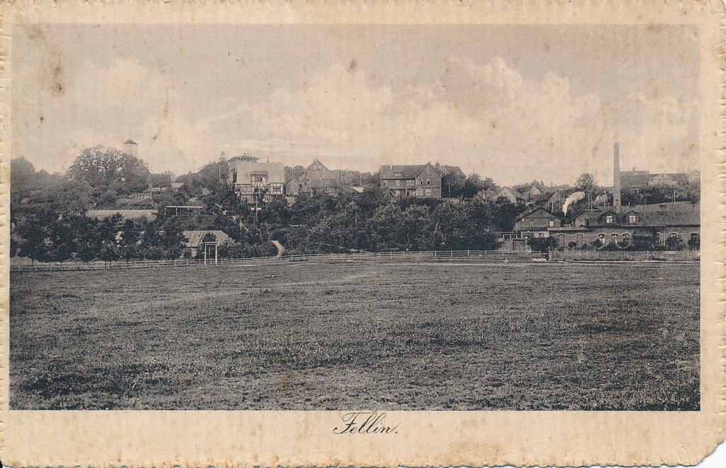 trükipostkaart  Viljandi, karjamaa, Trepimägi, paremal tapamaja (Ranna pst 6) u 1915 foto A.Livenstroem