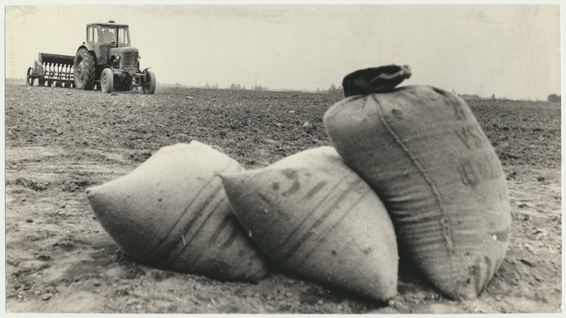foto Viljandimaa, viljakülv, kolhoosi Koit, 1969