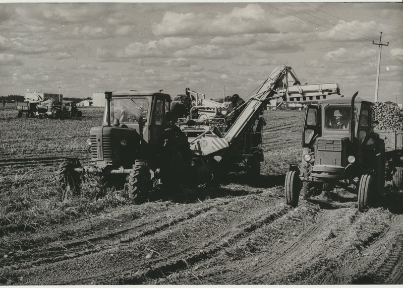 foto J.Gagarini nim. Näidissovhoostehnikum, kartulikombainid, 1975